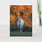 Bob Langrish | Grijze herfst Warmbloed Kaart (Voorkant)