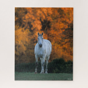 Bob Langrish   Grijze herfst Warmbloed Legpuzzel