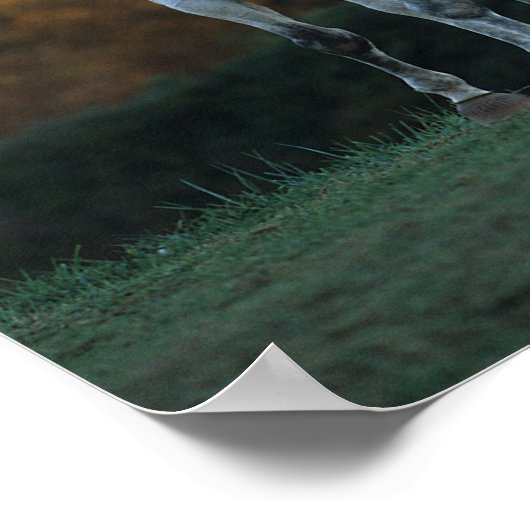 Bob Langrish | Grijze herfst Warmbloed Poster (Hoek)