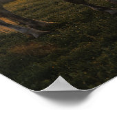 Bob Langrish | Grijze percheron op zonsondergang Poster (Hoek)