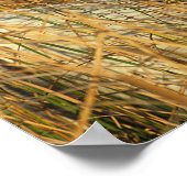 Bob Langrish | Grijze Pony in honing Poster (Hoek)