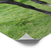 Bob Langrish | Grijze Pony Poster (Hoek)