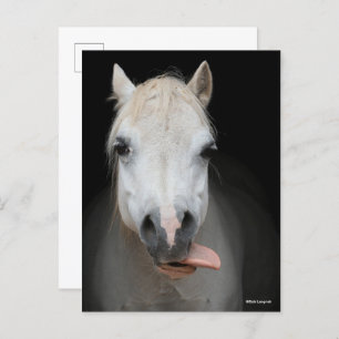 Bob Langrish   Grijze Welsh Pony met tongen uit Briefkaart