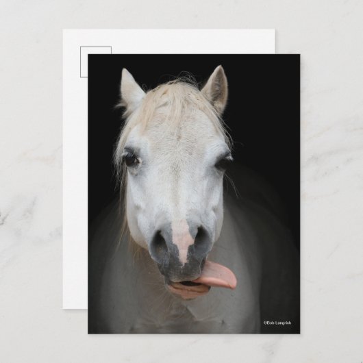 Bob Langrish | Grijze Welsh Pony met tongen uit Briefkaart (Voorkant / Achterkant)