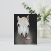 Bob Langrish | Grijze Welsh Pony met tongen uit Briefkaart (Staand voorkant)