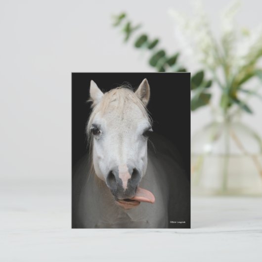 Bob Langrish | Grijze Welsh Pony met tongen uit Briefkaart (Staand voorkant)