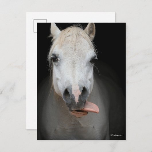 Bob Langrish | Grijze Welsh Pony Tongue uit headsh Briefkaart (Voorkant / Achterkant)