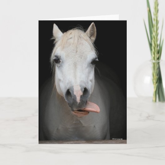 Bob Langrish | Grijze Welsh Pony Tongue uit headsh Kaart (Voorkant)