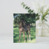 Bob Langrish | Grondevee met stevige ondergrond Briefkaart (Staand voorkant)