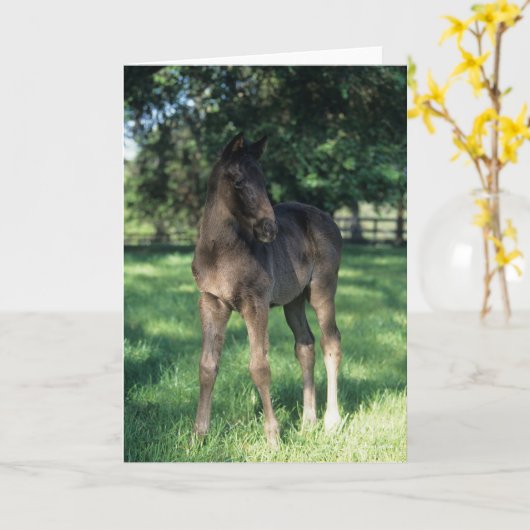 Bob Langrish | Grondevee met stevige ondergrond Kaart (Gele Bloem)