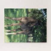 Bob Langrish | Grondevee met stevige ondergrond Legpuzzel (Horizontaal)