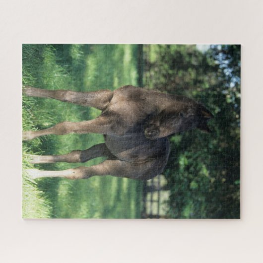 Bob Langrish | Grondevee met stevige ondergrond Legpuzzel (Horizontaal)