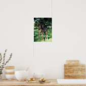 Bob Langrish | Grondevee met stevige ondergrond Poster (Keuken)