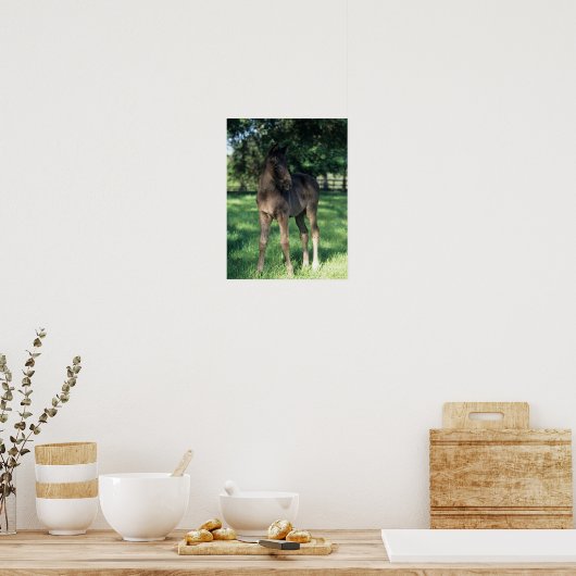 Bob Langrish | Grondevee met stevige ondergrond Poster (Keuken)