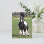 Bob Langrish | Gypsy Vanner aan het werk Briefkaart (Staand voorkant)