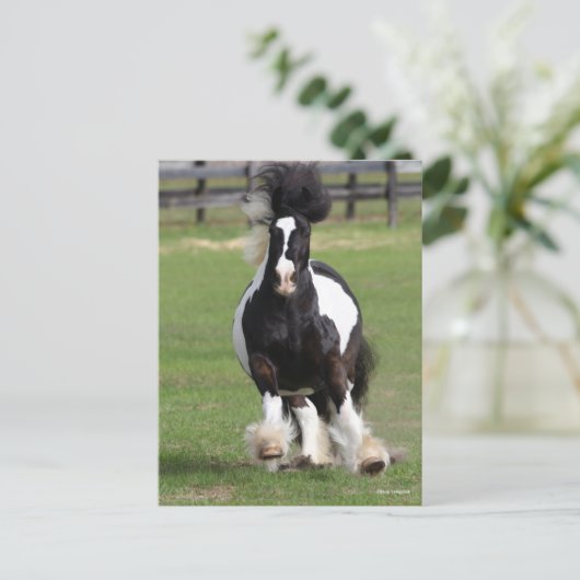 Bob Langrish | Gypsy Vanner aan het werk Briefkaart (Staand voorkant)