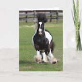 Bob Langrish | Gypsy Vanner aan het werk Kaart (Voorkant)