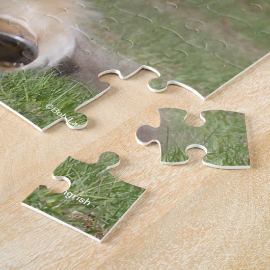 Bob Langrish | Gypsy Vanner aan het werk Legpuzzel (Zijkant)