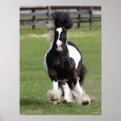 Bob Langrish | Gypsy Vanner aan het werk Poster (Voorkant)