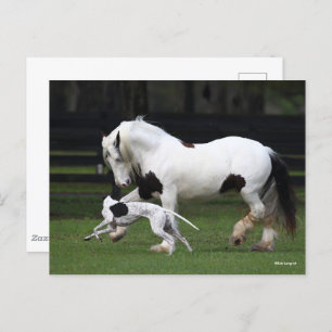 Bob Langrish Gypsy Vanner en Dog die samen lopen Briefkaart