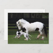 Bob Langrish Gypsy Vanner en Dog die samen lopen Briefkaart (Voorkant / Achterkant)