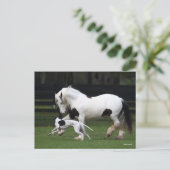 Bob Langrish Gypsy Vanner en Dog die samen lopen Briefkaart (Staand voorkant)