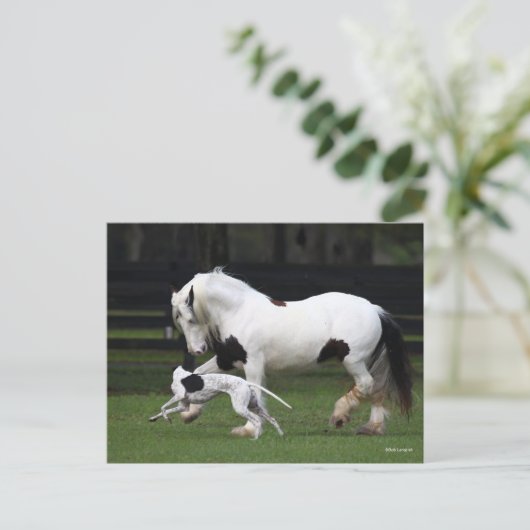 Bob Langrish Gypsy Vanner en Dog die samen lopen Briefkaart (Staand voorkant)