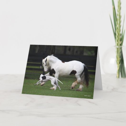Bob Langrish Gypsy Vanner en Dog die samen lopen Kaart (Voorkant)