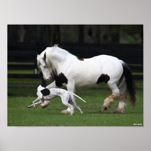 Bob Langrish Gypsy Vanner en Dog die samen lopen Poster