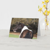 Bob Langrish | Gypsy Vanner Headshot Kaart (Gele Bloem)