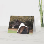 Bob Langrish | Gypsy Vanner Headshot Kaart (Voorkant)