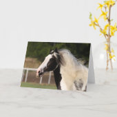Bob Langrish | Gypsy Vanner Headshot Kaart (Gele Bloem)