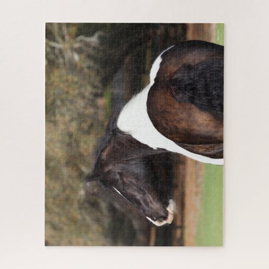 Bob Langrish | Gypsy Vanner Headshot Legpuzzel (Verticaal)