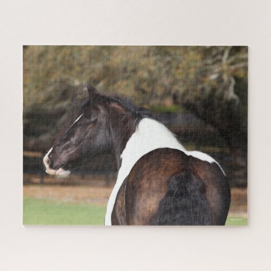 Bob Langrish | Gypsy Vanner Headshot Legpuzzel (Horizontaal)