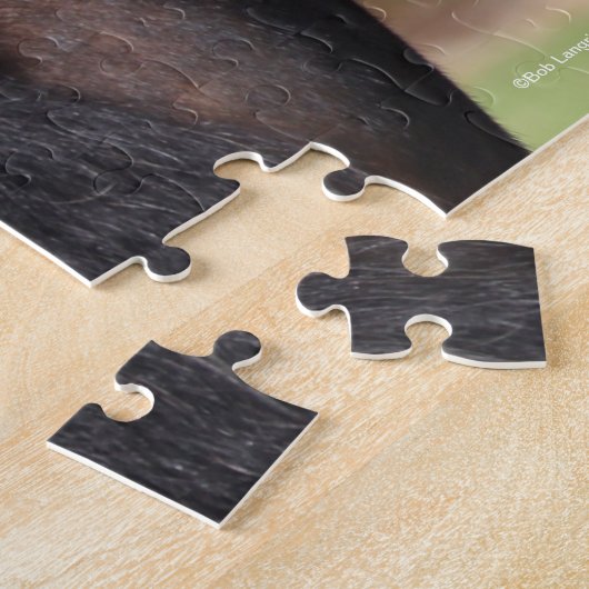 Bob Langrish | Gypsy Vanner Headshot Legpuzzel (Zijkant)