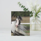 Bob Langrish | Gypsy Vanner Headshot Mande stromen Briefkaart (Staand voorkant)