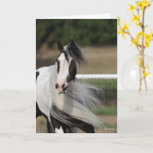 Bob Langrish | Gypsy Vanner Headshot Mande stromen Kaart (Gele Bloem)