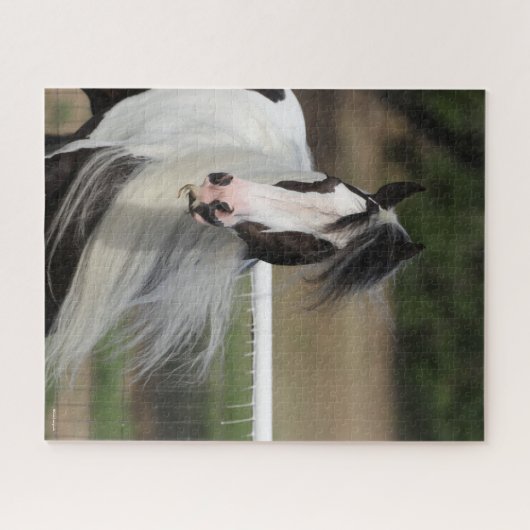 Bob Langrish | Gypsy Vanner Headshot Mande stromen Legpuzzel (Horizontaal)