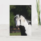 Bob Langrish | Gypsy Vanner Horse Headshot Kaart (Voorkant)