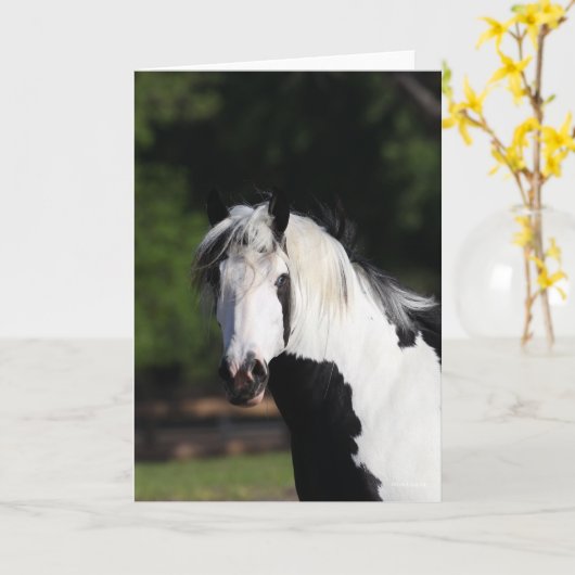 Bob Langrish | Gypsy Vanner Horse Headshot Kaart (Gele Bloem)