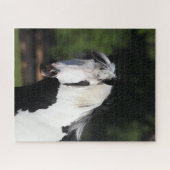 Bob Langrish | Gypsy Vanner Horse Headshot Legpuzzel (Horizontaal)