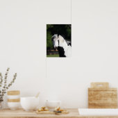 Bob Langrish | Gypsy Vanner Horse Headshot Poster (Keuken)