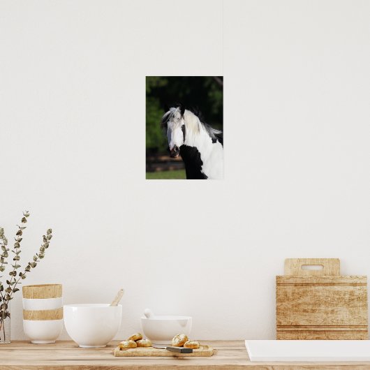 Bob Langrish | Gypsy Vanner Horse Headshot Poster (Keuken)