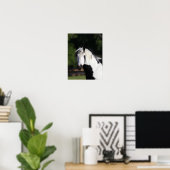 Bob Langrish | Gypsy Vanner Horse Headshot Poster (Thuiskantoor)