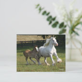 Bob Langrish | Gypsy Vanner Horse Mare & Foal Briefkaart (Staand voorkant)