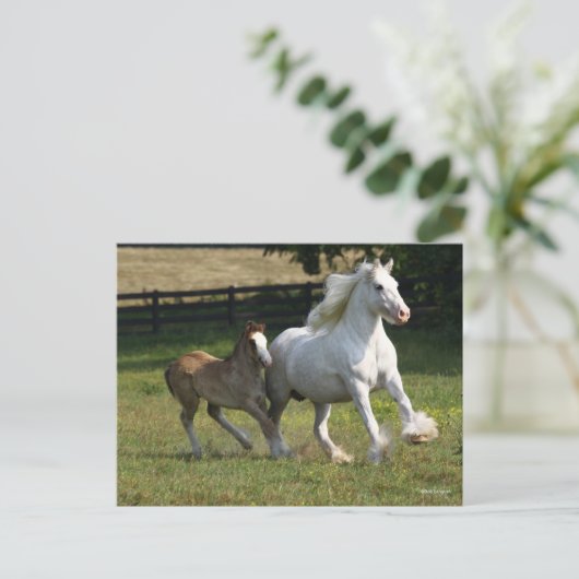 Bob Langrish | Gypsy Vanner Horse Mare & Foal Briefkaart (Staand voorkant)