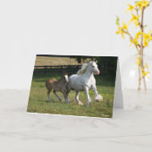 Bob Langrish | Gypsy Vanner Horse Mare & Foal Kaart (Gele Bloem)