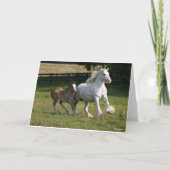 Bob Langrish | Gypsy Vanner Horse Mare & Foal Kaart (Voorkant)