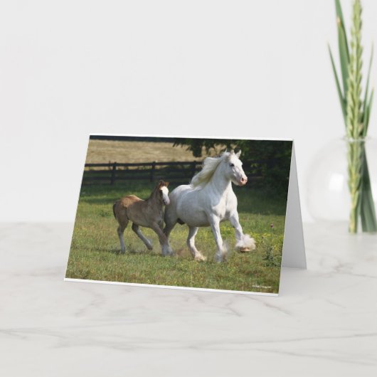 Bob Langrish | Gypsy Vanner Horse Mare & Foal Kaart (Voorkant)