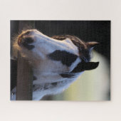 Bob Langrish | Gypsy Vanner kijkt over Omheining Legpuzzel (Horizontaal)